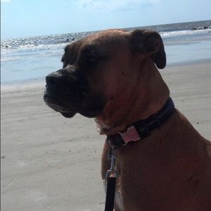 Meet your Posher, Jay